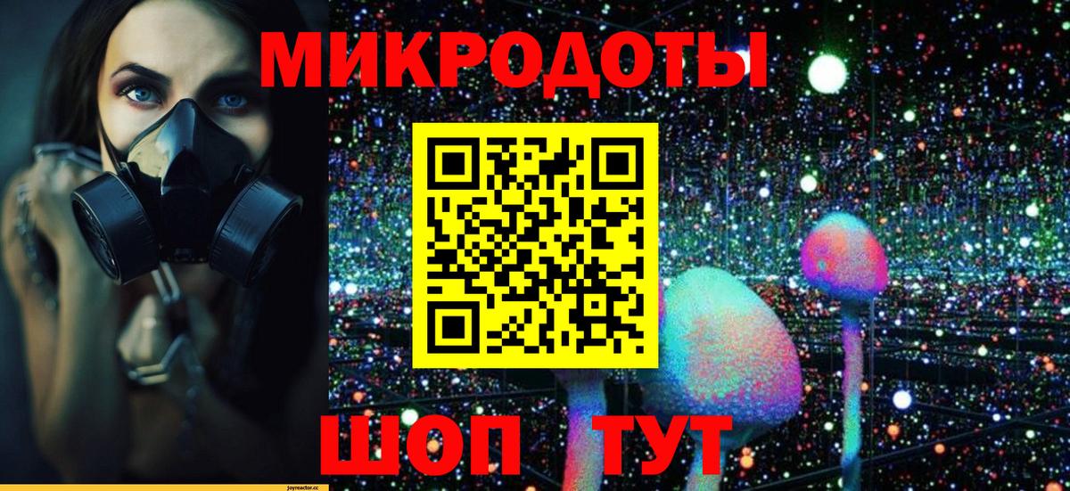 Псилоцибиновые грибы прущие грибы Бахчисарай