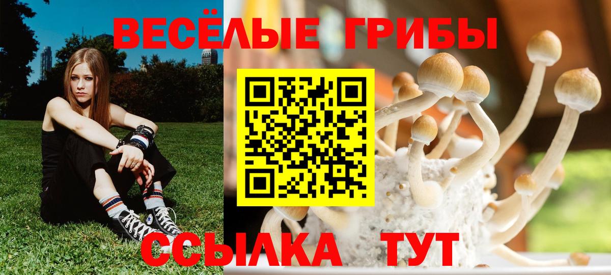 Псилоцибиновые грибы Psilocybe  Вход с VPN  купить наркотики сайты  Бахчисарай 